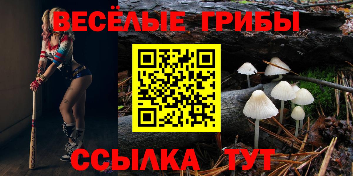 Галлюциногенные грибы ЛСД  Вход с VPN  Псилоцибиновые грибы мухоморы  Сунжа 